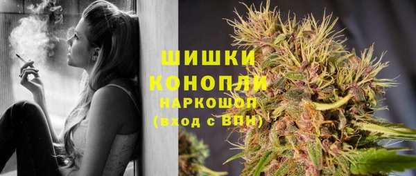 ГАЛЛЮЦИНОГЕННЫЕ ГРИБЫ Володарск